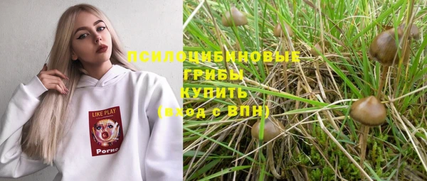 2c-b Арсеньев