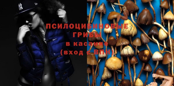 гидропоника Аркадак